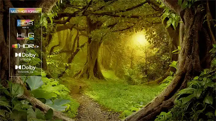 TCL QLED 65 Inch 65C735 Borderless 4K UHD HDR QLED Google TV