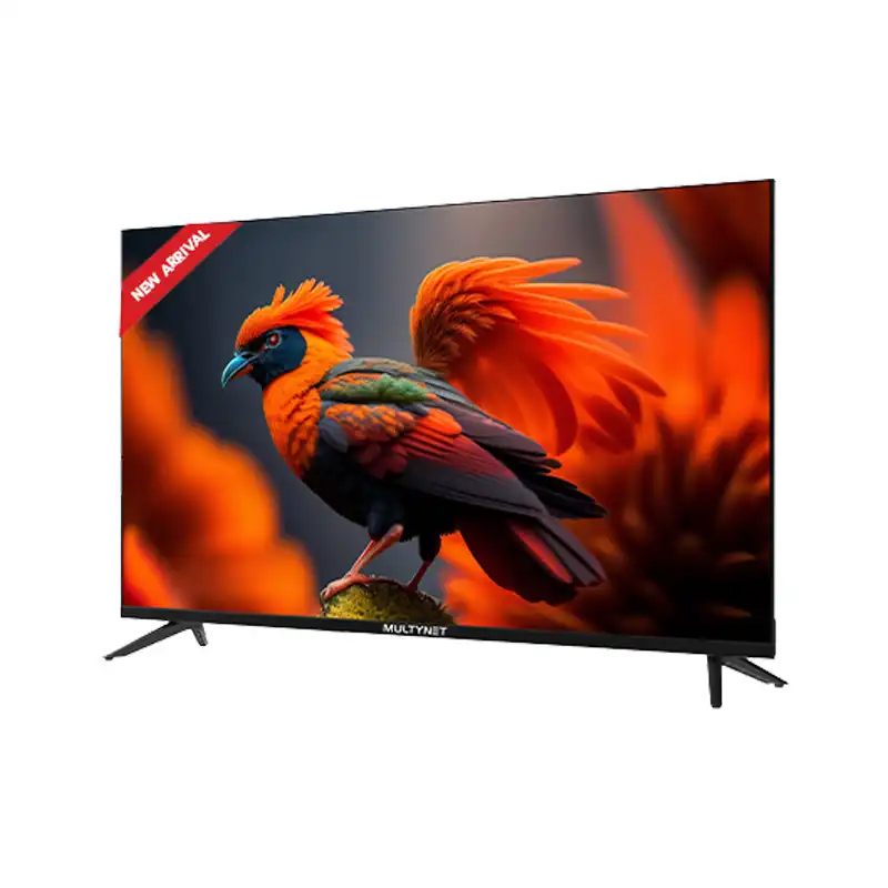 Multynet 40 inch 40NX10 HD Official Google TV